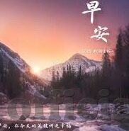 77777大象传媒视频入口-探索数字与创意的奇妙融合，77777与大象传媒的创意视频之旅