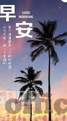 91麻豆精品免费看-91麻豆精品，解锁视觉盛宴的快捷通道