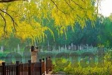国产麻豆剧传媒av国产片-国产影视新观察，百花齐放中的文化与艺术探索