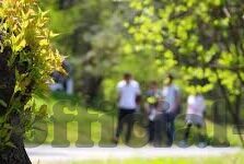 国产一区二区三区成人欧美日韩在线观看-平台的全球视野，国产一区二区三区与欧美日韩在线观看的多元体验