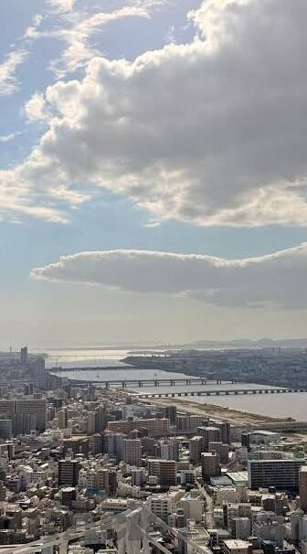 麻豆日记app缓存路径-解锁麻豆日记APP的缓存路径，一场关于高效存储与个性化体验的探索